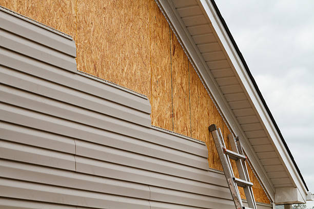 Professional Siding Inspection technician working in Danville, KY